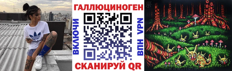 где можно купить наркотик  Александровск  KRAKEN ССЫЛКА  Псилоцибиновые грибы Psilocybine cubensis 